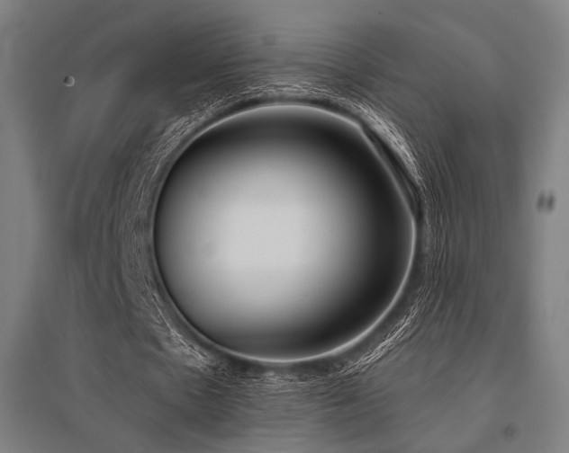 X0000096150481200801181206
