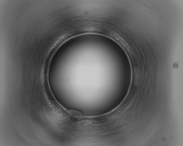 X0000096150482200801181206