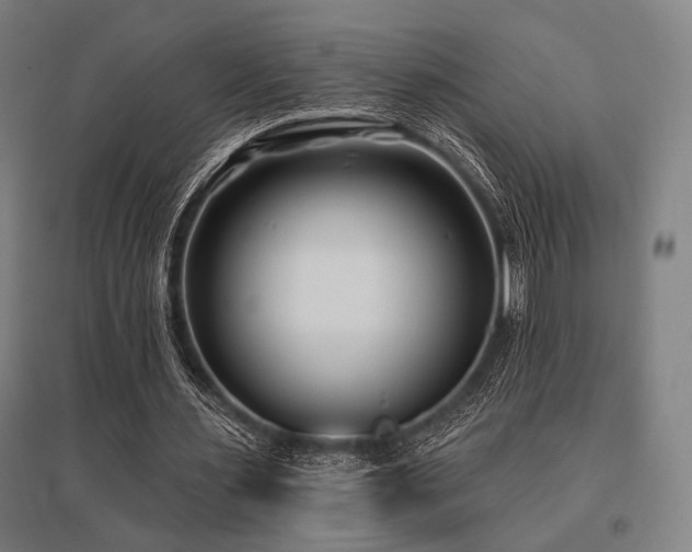 X0000096150483200801181206