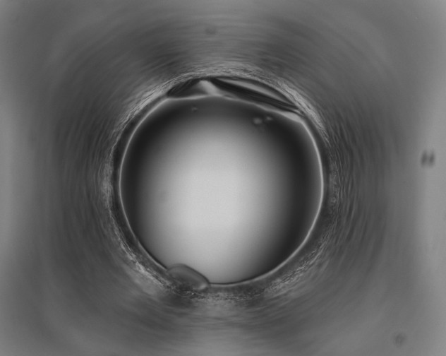 X0000096150485200801181206