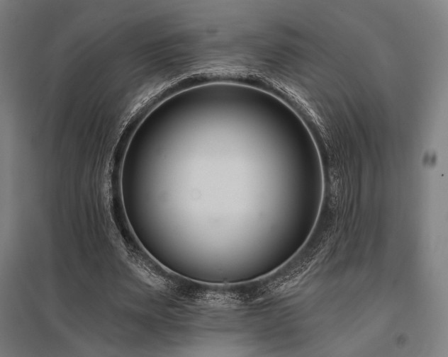 X0000096150487200801181206