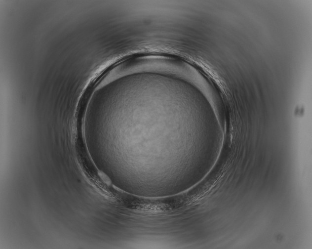 X0000096150488200801181206