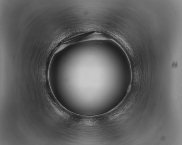 X0000096150489200801181206