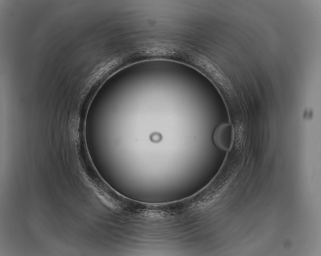 X0000096150490200801181206