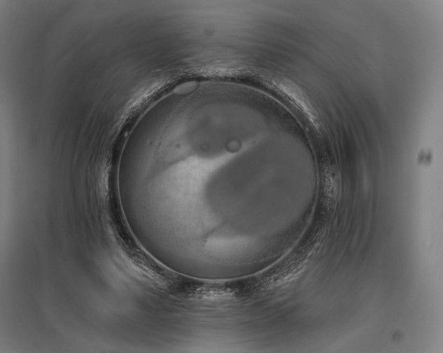 X0000096150491200801181206