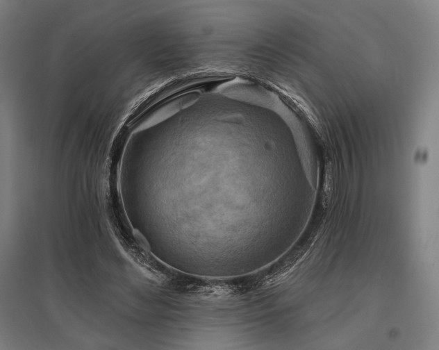 X0000096150492200801181206