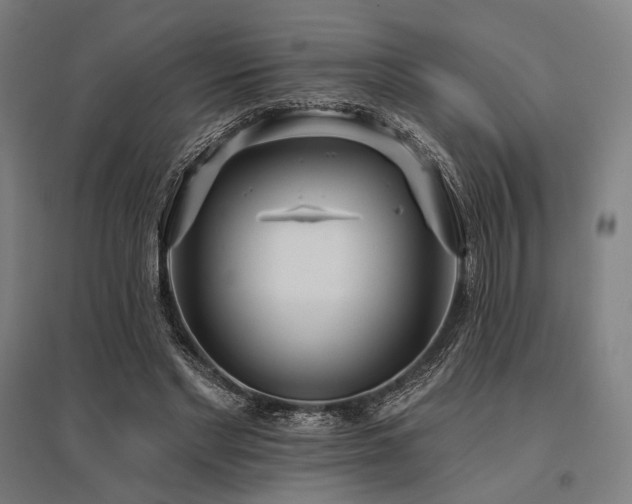 X0000096150493200801181206