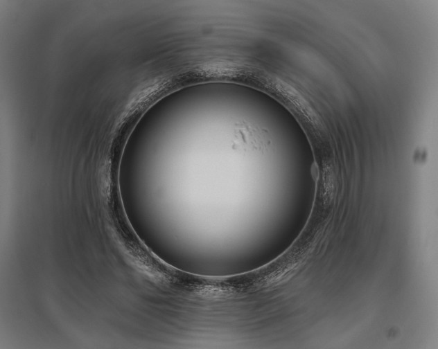 X0000096150494200801181206