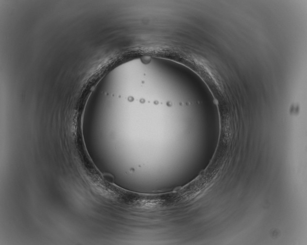 X0000096150495200801181206