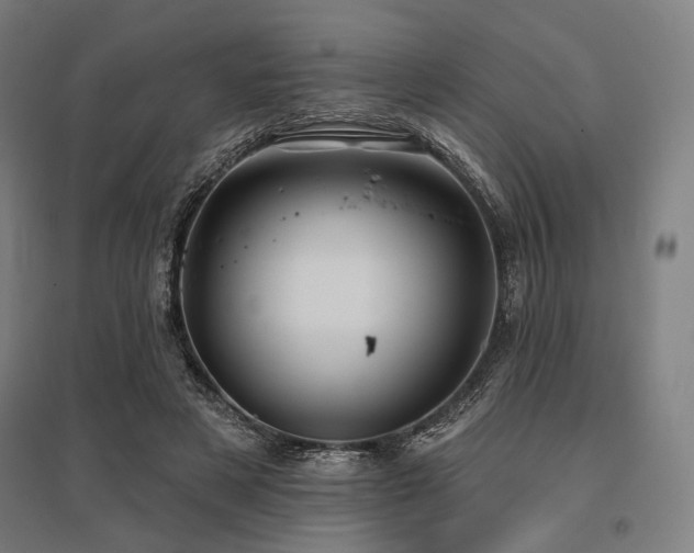 X0000096150497200801181205