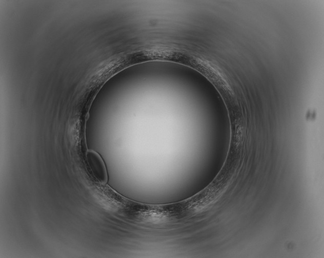 X0000096150498200801181205