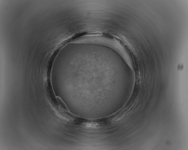 X0000096150500200801181205