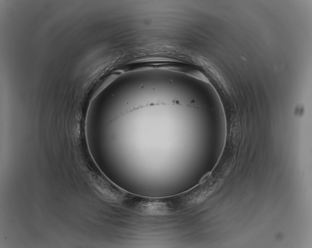 X0000096150501200801181205