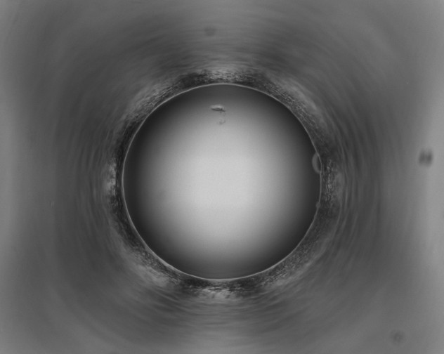 X0000096150502200801181205