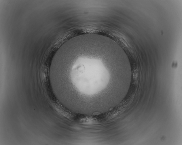 X0000096150503200801181205