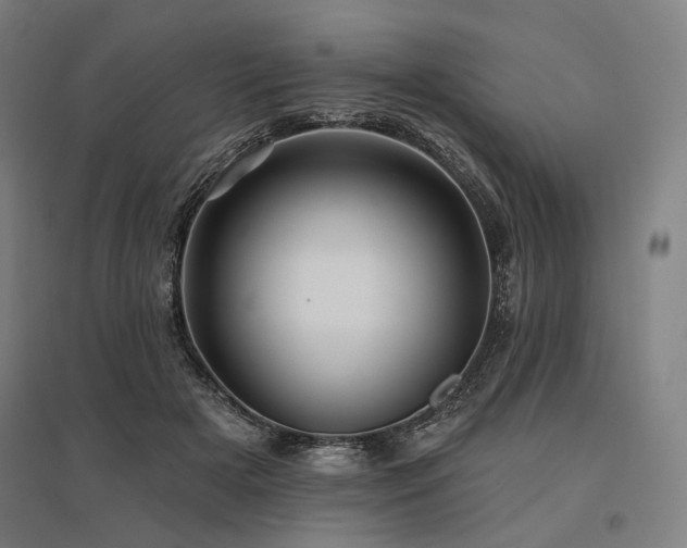 X0000096150505200801181205