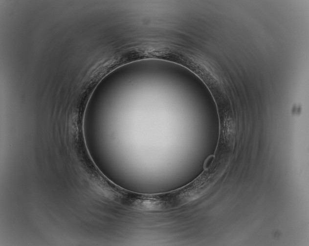 X0000096150506200801181205