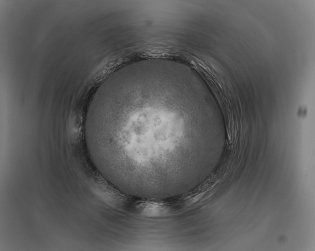 X0000096150507200801181205