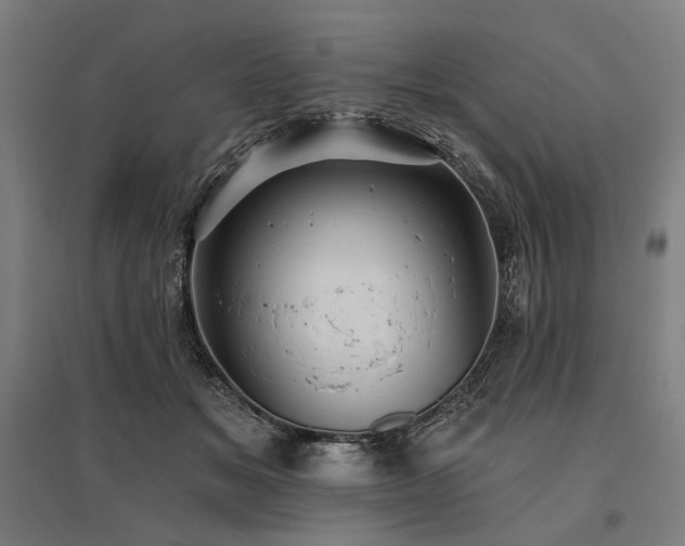 X0000096150509200801181205