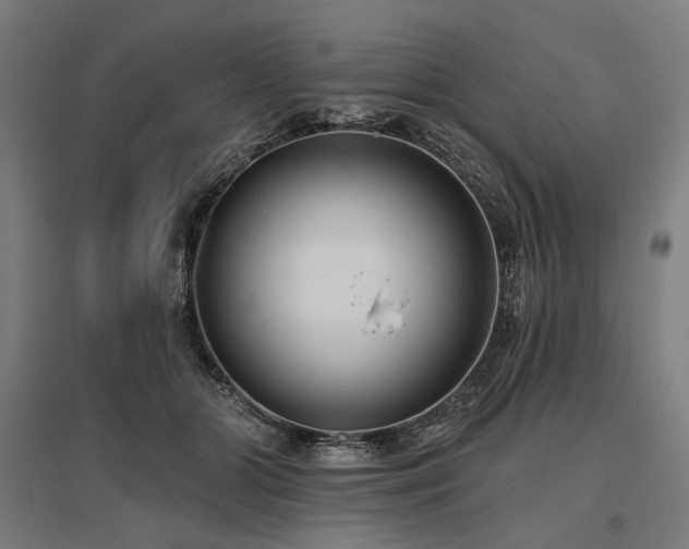 X0000096150510200801181205