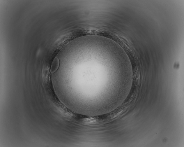 X0000096150511200801181205