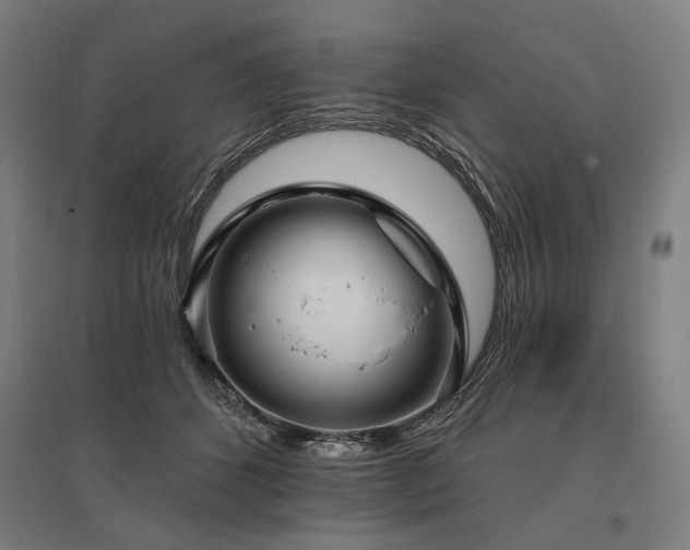 X0000096150512200801181205