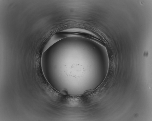 X0000096150513200801181205