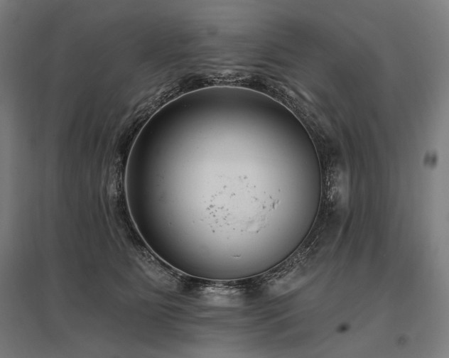 X0000096150515200801181205