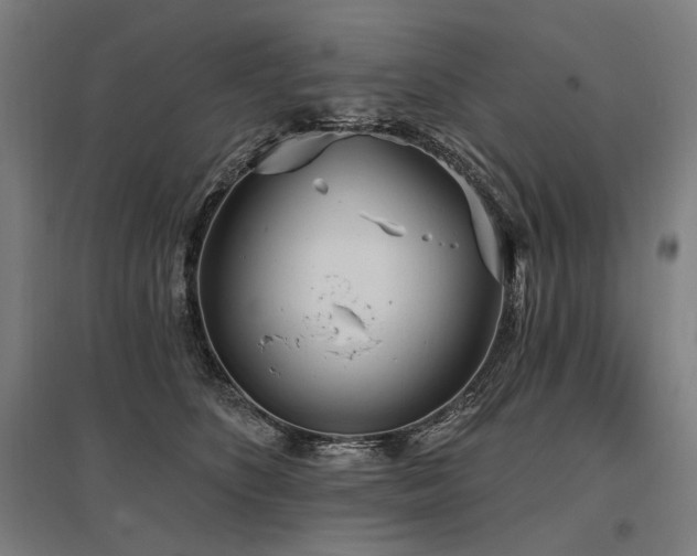 X0000096150516200801181205