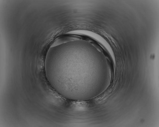 X0000096150517200801181205