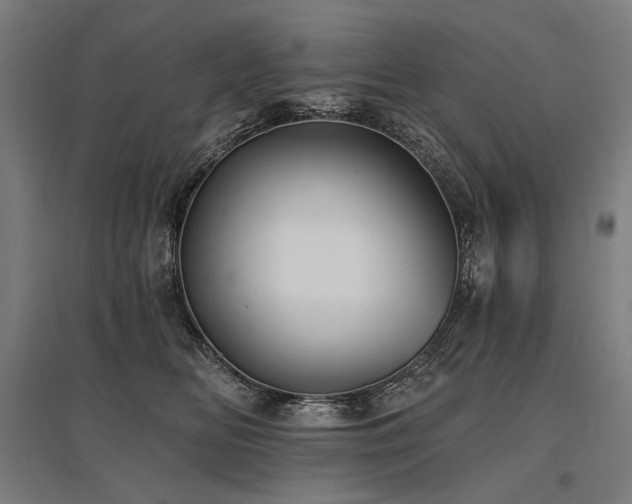 X0000096150518200801181205