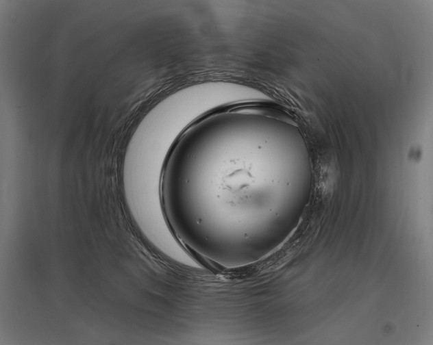 X0000096150519200801181205