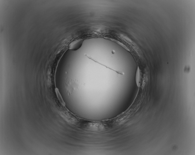 X0000096150520200801181205