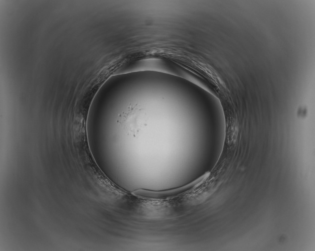 X0000096150521200801181205