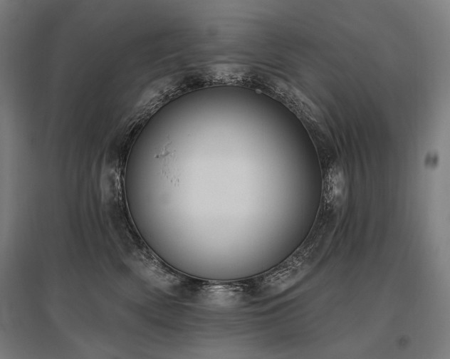 X0000096150522200801181205