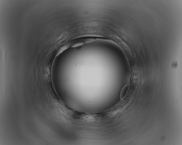 X0000096150523200801181205