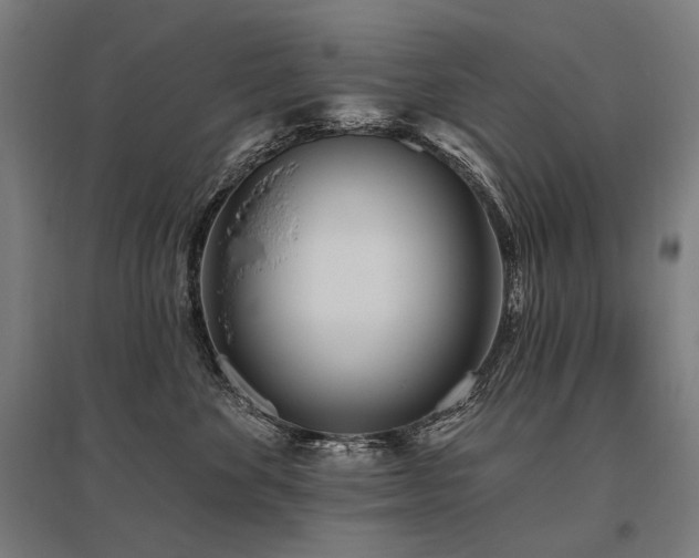 X0000096150524200801181205