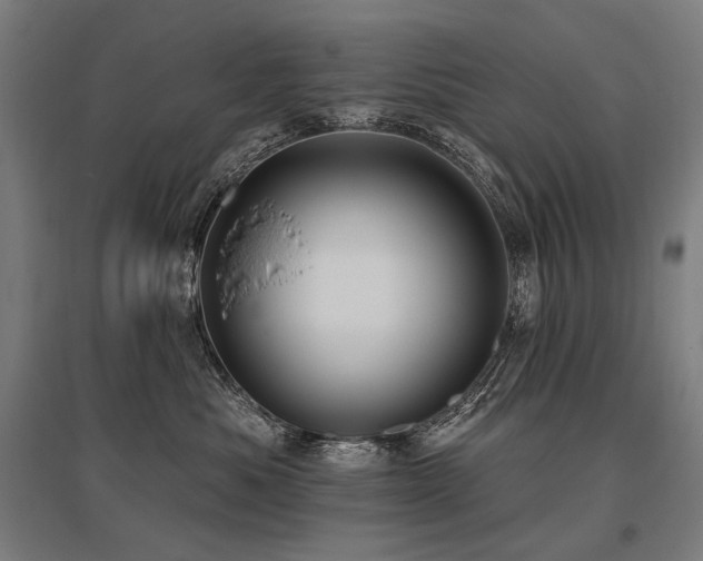 X0000096150525200801181205