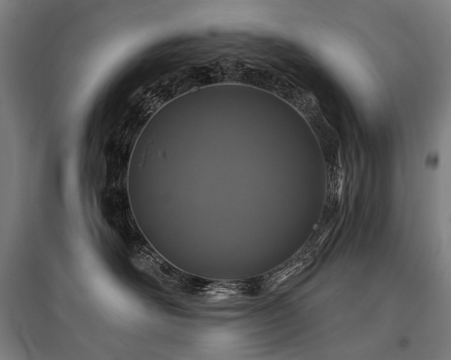 X0000096150526200801181205