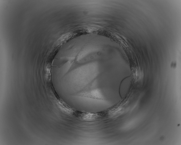 X0000096150527200801181205