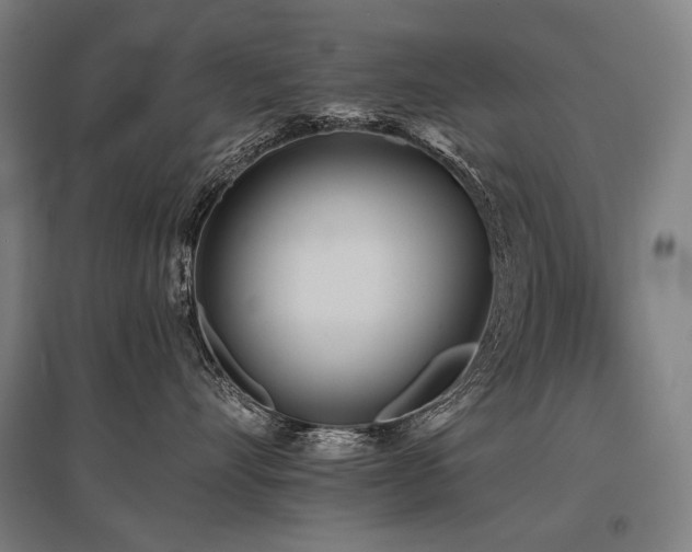 X0000096150528200801181205