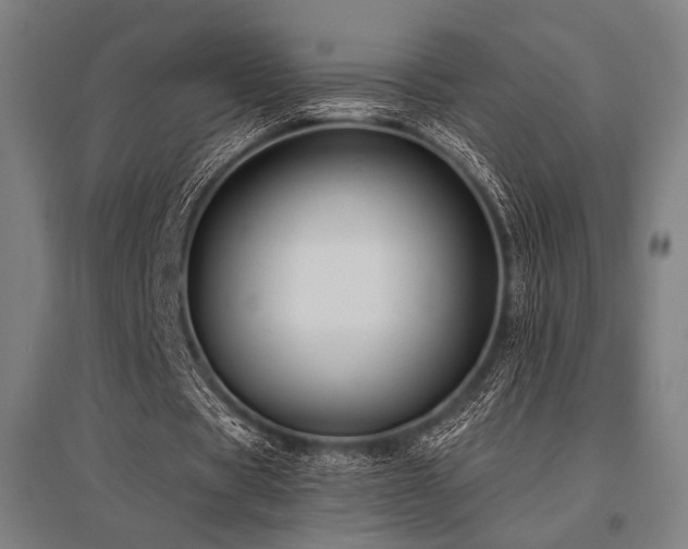 X0000096150529200801181204