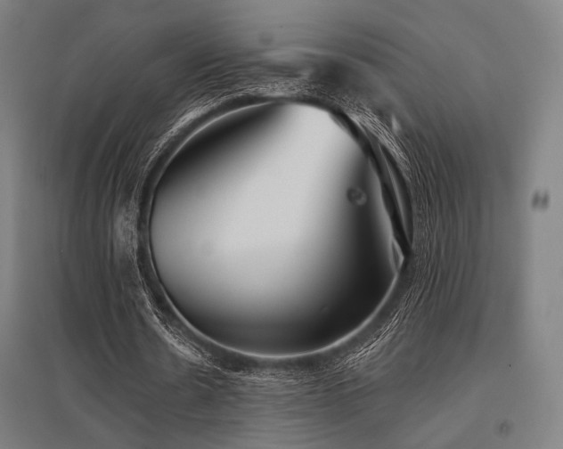 X0000096150530200801181204