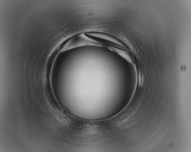 X0000096150531200801181204