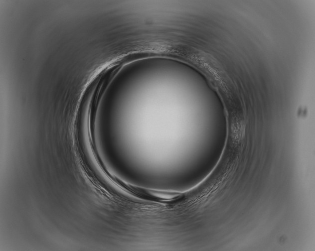 X0000096150532200801181204