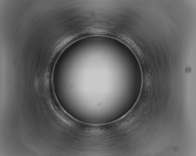 X0000096150533200801181204