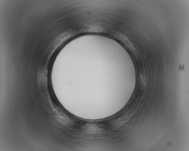 X0000096150534200801181204