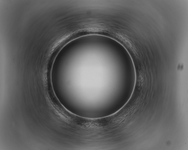 X0000096150535200801181204