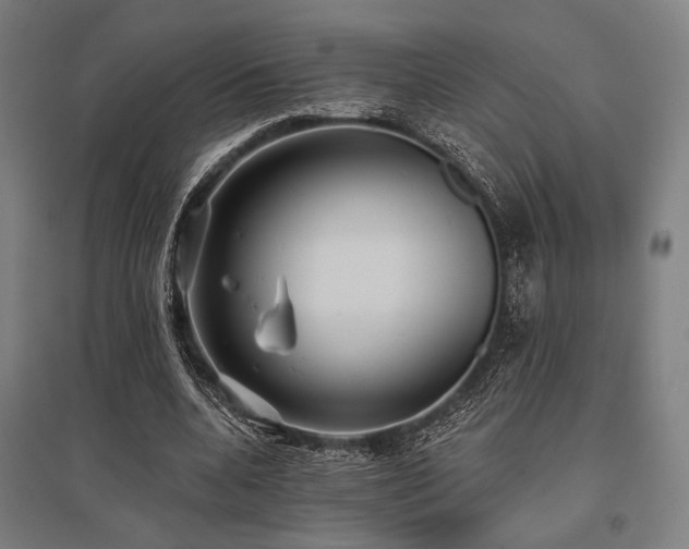 X0000096150536200801181204
