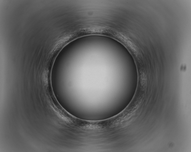 X0000096150537200801181205